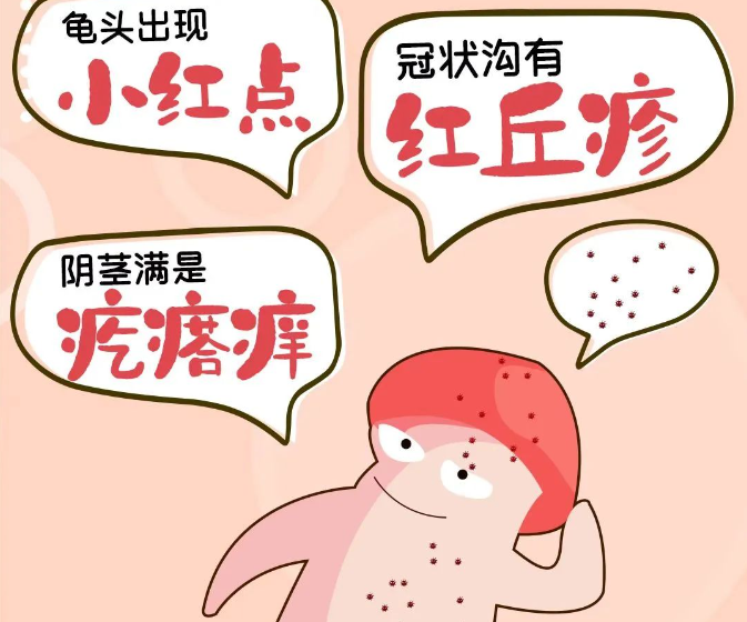 6431b8c7b05f0f4bface6bd73eba089.png
