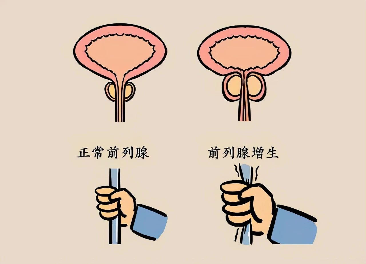 811b8098712e5b3bfdb5833d1e959278.jpg